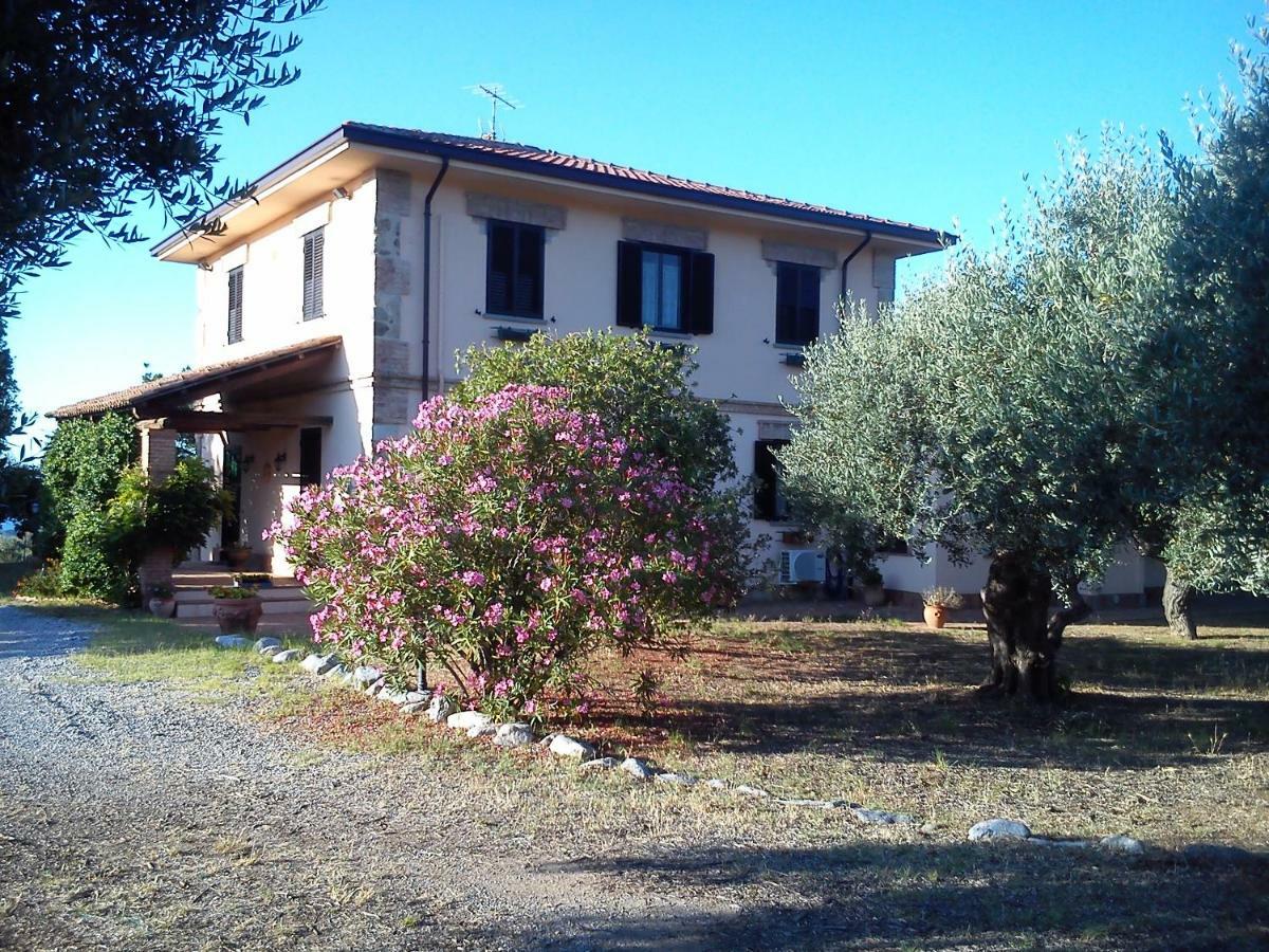 Pathirion B&B Rossano Zewnętrze zdjęcie