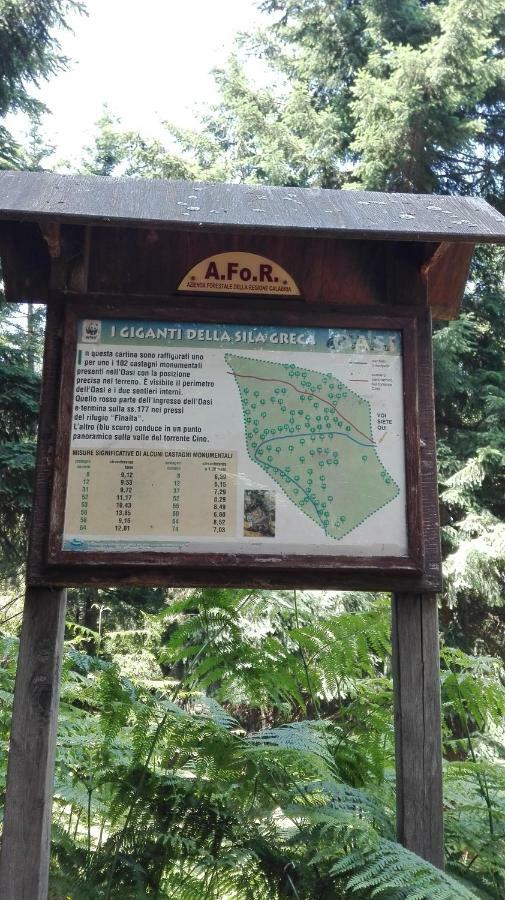 Pathirion B&B Rossano Zewnętrze zdjęcie